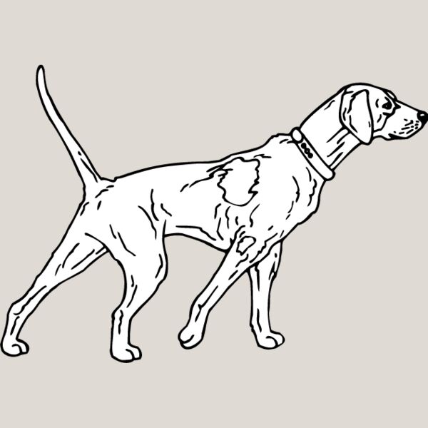 Shorthaired Pointer2 Thumbnail