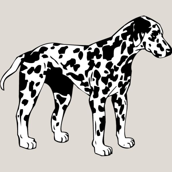 Dalmation1 Thumbnail