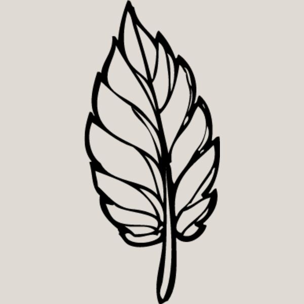 Leaf Line6 Thumbnail