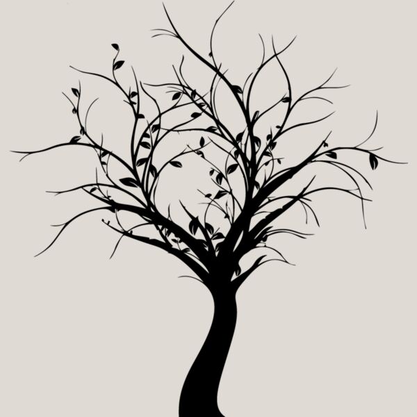 Bare Tree3 Thumbnail