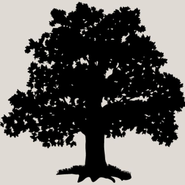 Oak Tree5 Thumbnail