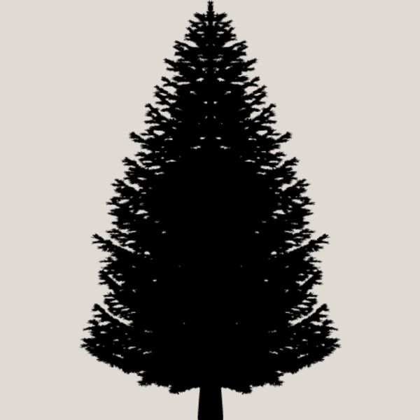 Pine Tree9 Thumbnail