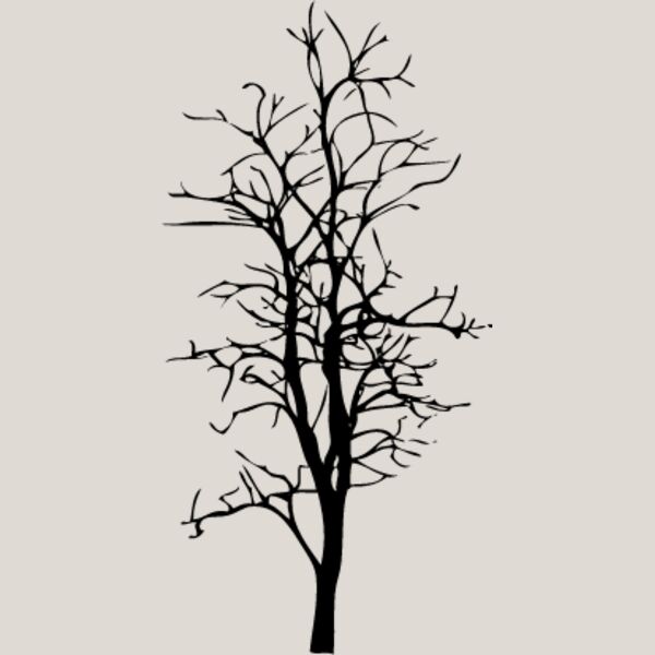 Bare Tree5 Thumbnail