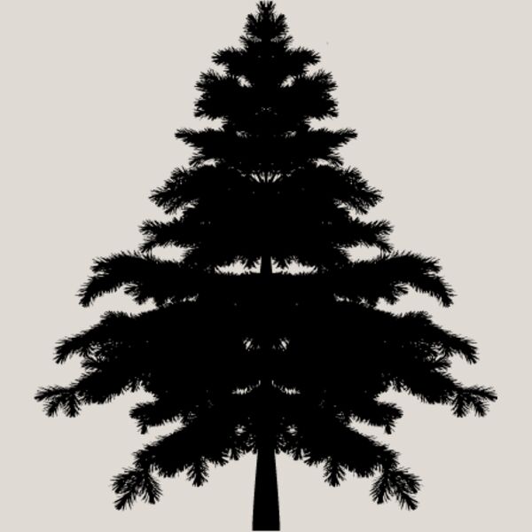 Pine Tree12 Thumbnail