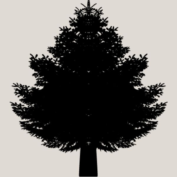 Pine Tree8 Thumbnail