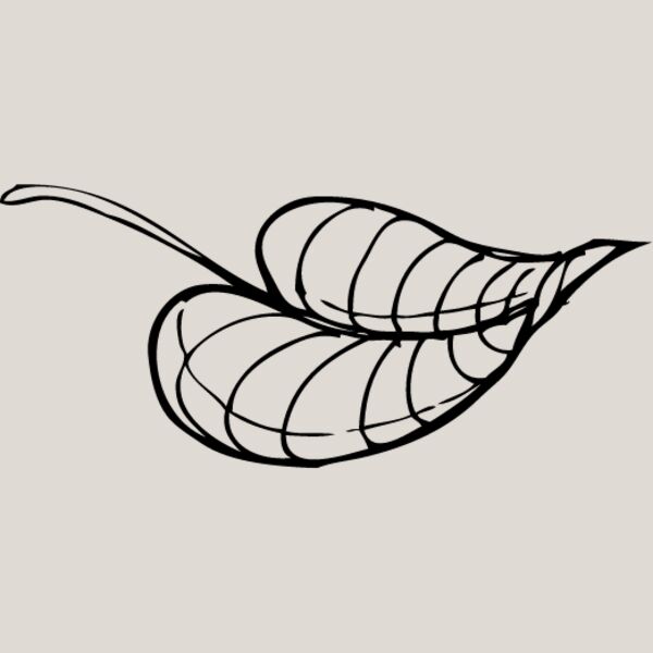 Leaf Line4 Thumbnail
