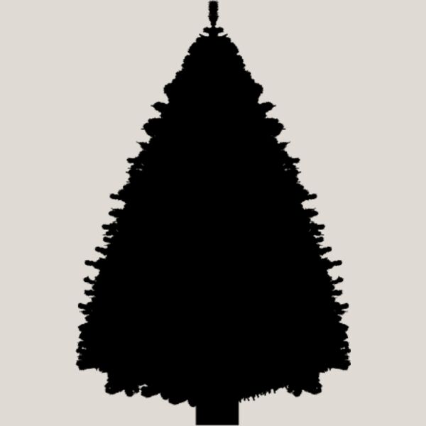 Pine Tree10 Thumbnail