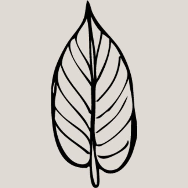 Leaf Line2 Thumbnail