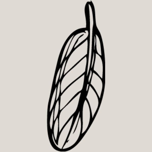 Leaf Line10 Thumbnail