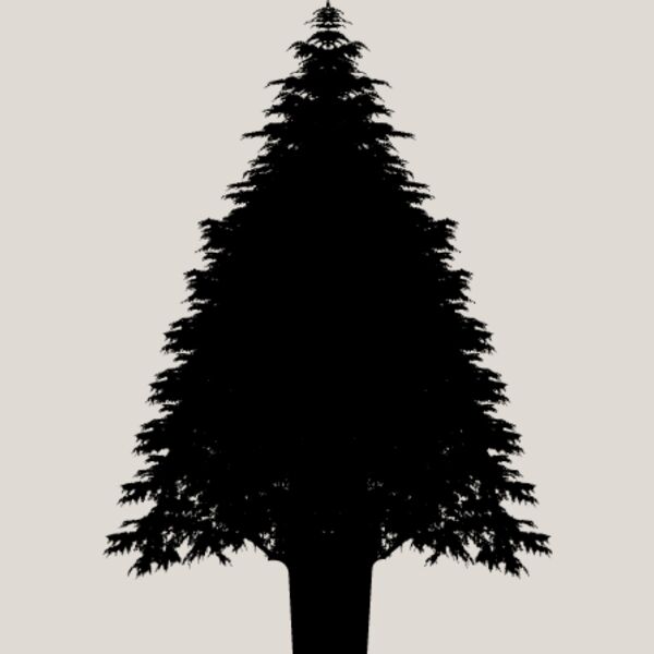 Pine Tree14 Thumbnail