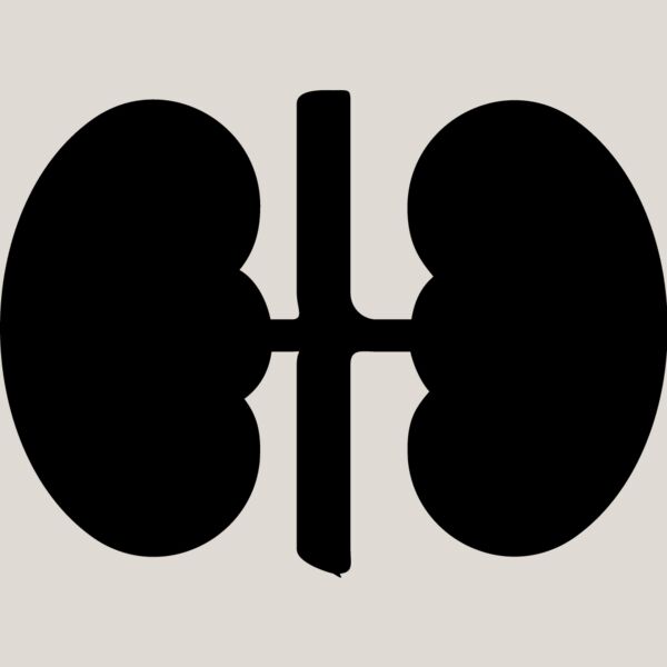 Kidneys Thumbnail