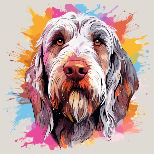 Spinone Italiano Thumbnail