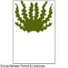 12x18 Screen Print Transfer Thumbnail