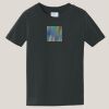 Toddler Fan Favorite T-Shirt Thumbnail