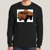Ultra Cotton ® 100% Cotton Long Sleeve T Shirt Thumbnail