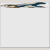Elite Match 12 x 11 DTF Heat Transfer Thumbnail