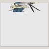 Elite Match 12 x 11 DTF Heat Transfer Thumbnail