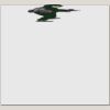 Elite Match 12 x 11 DTF Heat Transfer Thumbnail