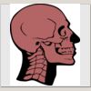 Elite Match 12 x 11 DTF Heat Transfer Thumbnail
