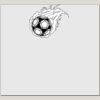 Elite Match 12 x 11 DTF Heat Transfer Thumbnail