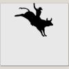 Elite Match 12 x 11 DTF Heat Transfer Thumbnail