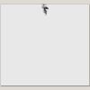 Elite Match 12 x 11 DTF Heat Transfer Thumbnail