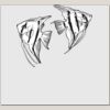 Elite Match 12 x 11 DTF Heat Transfer Thumbnail