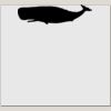 Elite Match 12 x 11 DTF Heat Transfer Thumbnail