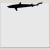 Elite Match 12 x 11 DTF Heat Transfer Thumbnail