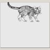 Elite Match 12 x 11 DTF Heat Transfer Thumbnail