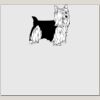Elite Match 12 x 11 DTF Heat Transfer Thumbnail