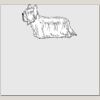 Elite Match 12 x 11 DTF Heat Transfer Thumbnail