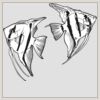 2" x 2" DTF Heat Transfer Thumbnail
