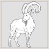6" x 6" DTF Heat Transfer Thumbnail