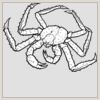 6" x 6" DTF Heat Transfer Thumbnail