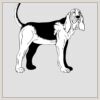 10" x 10" DTF Heat Transfer Thumbnail