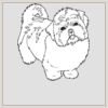 10" x 10" DTF Heat Transfer Thumbnail
