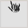 10" x 10" DTF Heat Transfer Thumbnail