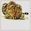 10" x 10" DTF Heat Transfer Thumbnail